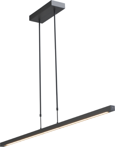 2975-81-S-2XP-DW Hanglamp Real 3 Zwart Nikkel 100 cm