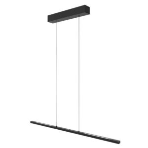 3994ZW Hanglamp Bande 114 Zwart